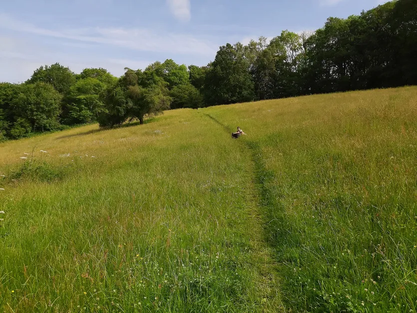 Baugrundstück mit Meerblick — Vrsar – slika 3