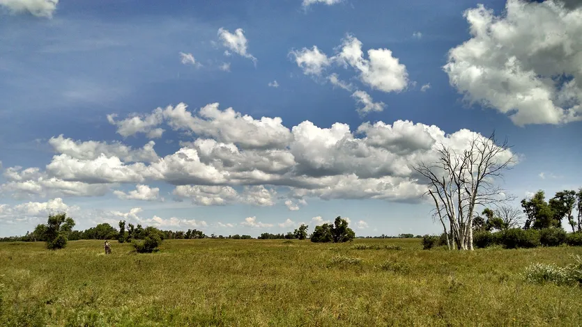 Baugrundstück mit Meerblick — Vrsar – slika 5